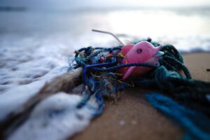 Bild Plastikwal und Seile am Meer (Sören Funk auf Unsplash.com)